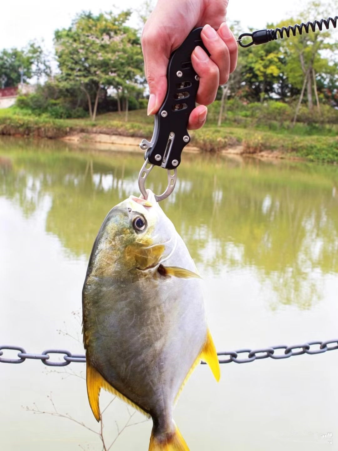 Tesoura multifuncional de aço  - Baitcasting Reel avaliação e preço